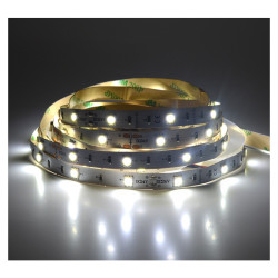 Bandeau LED 6000°K 5 m 30 LED/m 36W IP20 - 24V