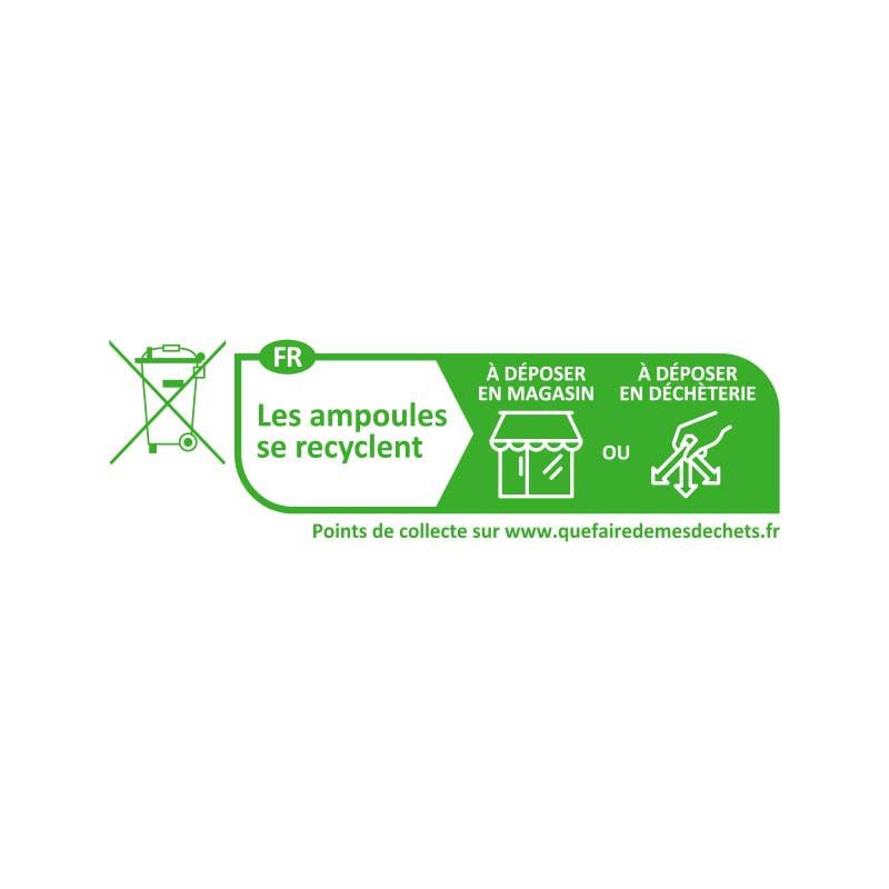 Ampoule LED E27 Bulb Filament 6,5W 2700K Dépoli Boite