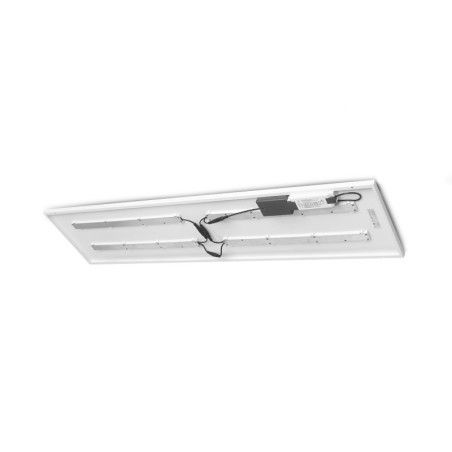 Plafonnier LED Blanc CEE 295 x 1195 mm 30W 4000K DALI/PUSH - Garantie 5 ans