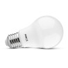 Ampoules LED E27